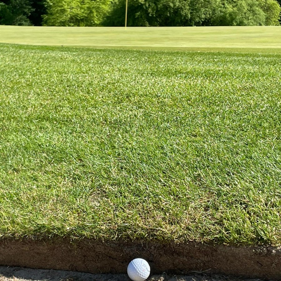 Eagle Tour 2021 - Stop 1 im Licher GC