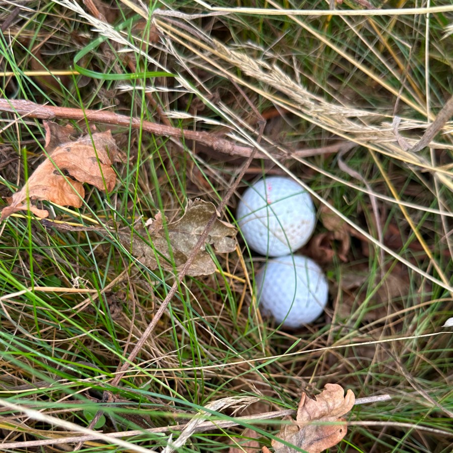 Eagle Tour im GC Groß-Zimmern